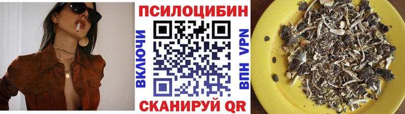 где продают Коркино Псилоцибиновые грибы Cubensis